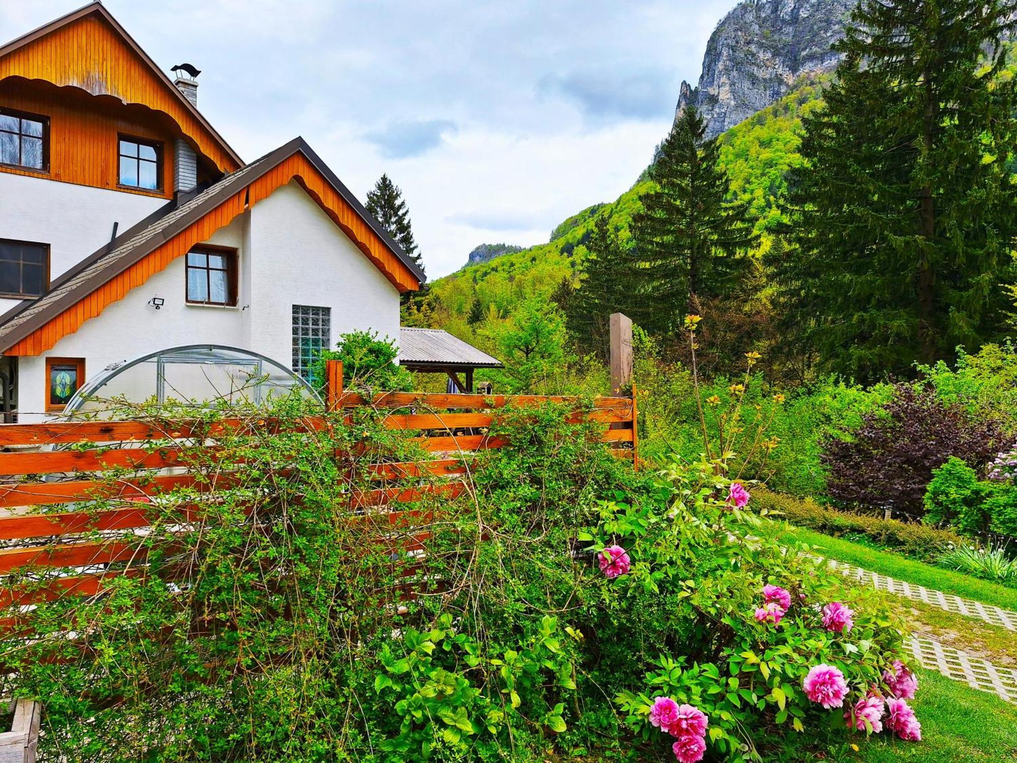 Ingreen House Bohinjska Bela Dış mekan fotoğraf