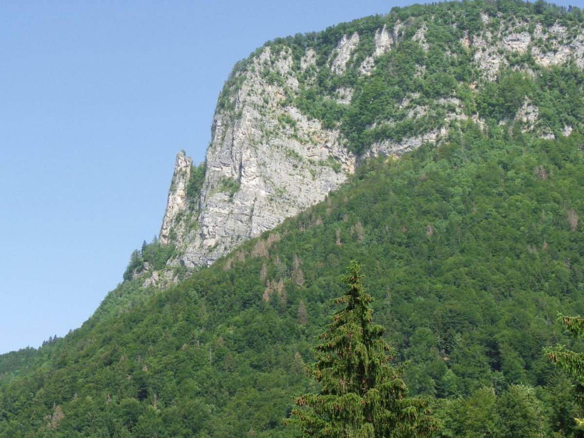 Ingreen House Bohinjska Bela Dış mekan fotoğraf